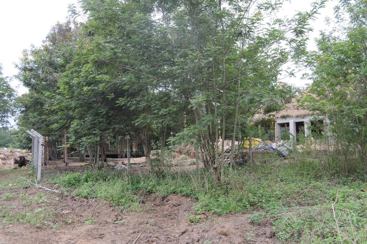 Irungu Forest Safari Lodge Katunguru Eksteriør bilde