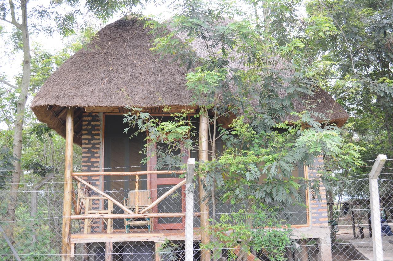 Irungu Forest Safari Lodge Katunguru Eksteriør bilde