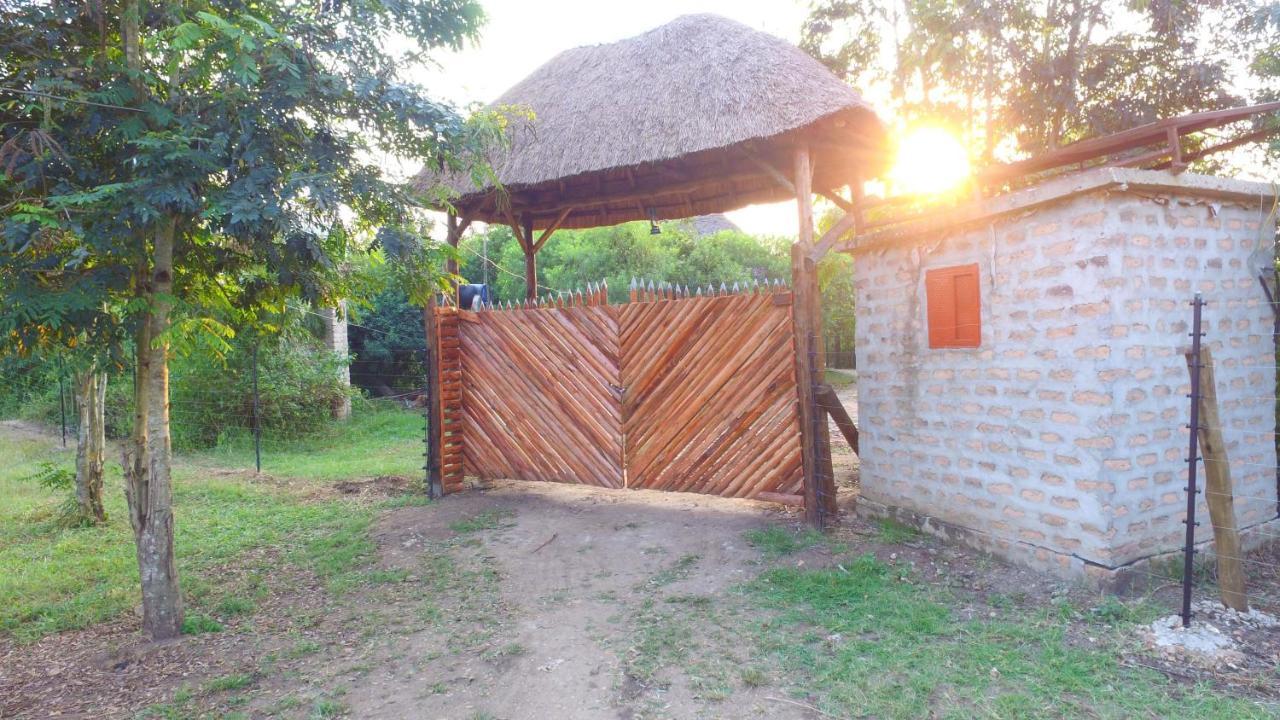 Irungu Forest Safari Lodge Katunguru Eksteriør bilde